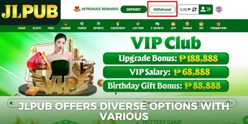 JLPUB offers diverse options with various limits